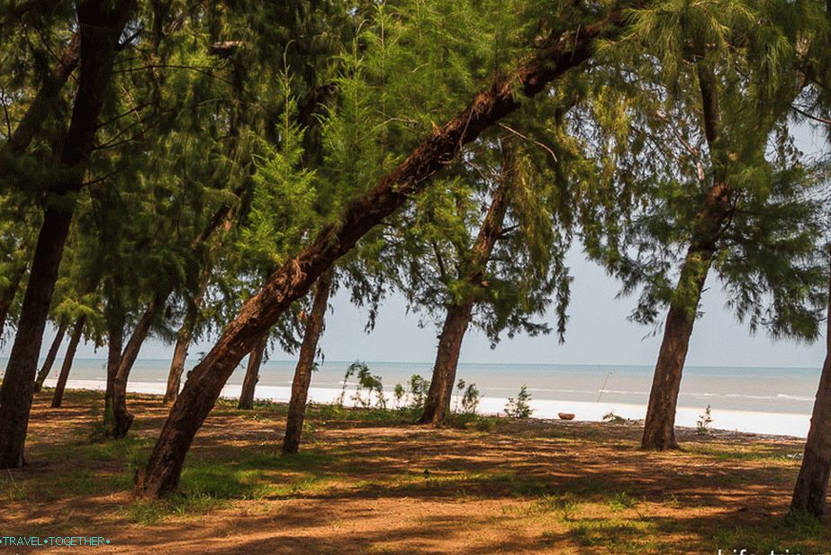 Laem-sala-beach-13