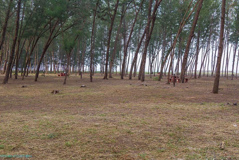 Pran-kiri-beach-09