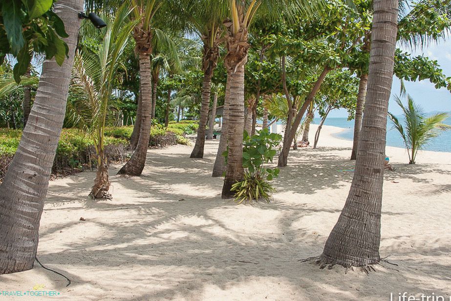 Plyazh-w-ustúpiť-samui-15