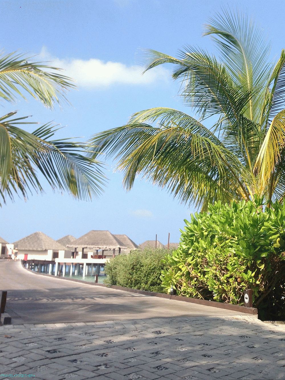 „Maldivy