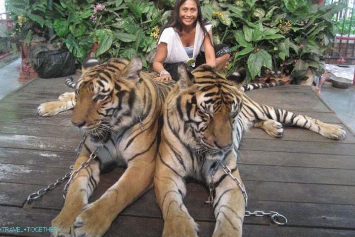 Zoo Phuket