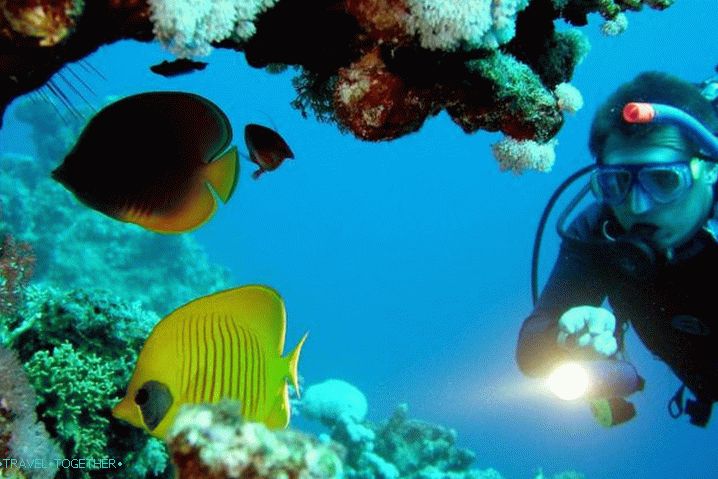 „Hurghada