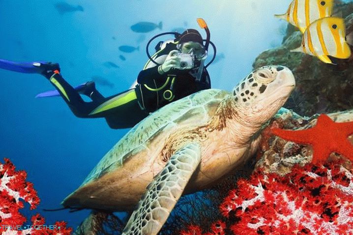 Počasie v Šarm aš-Šajchu v októbri - Sea World Sharm el-Sheikh