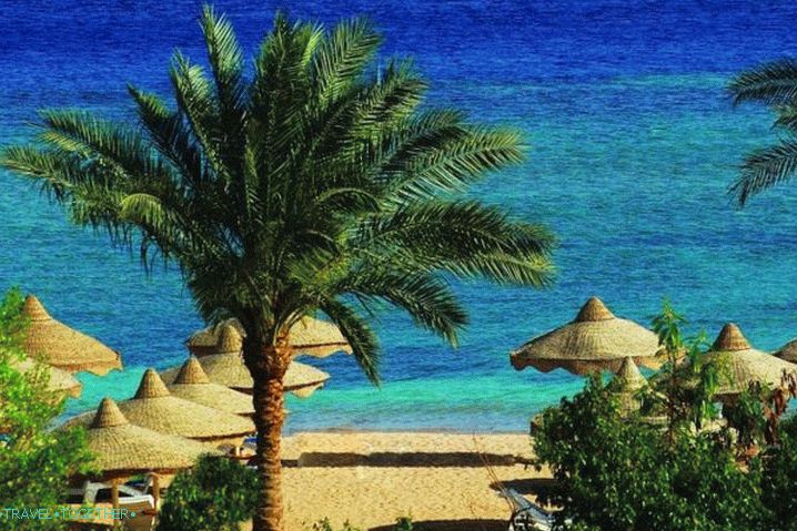 Sharm el-Sheikh, Coast