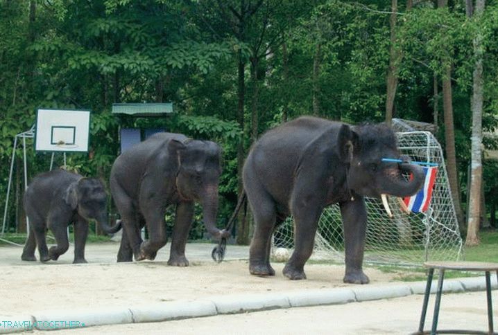 Samui pre deti, Namuang Safari Park na Samui