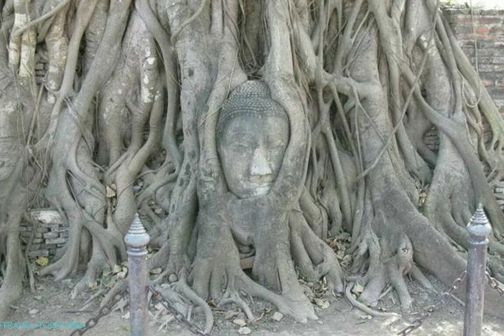 „Bangkok,