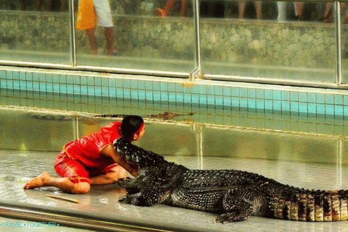 „Pattaya