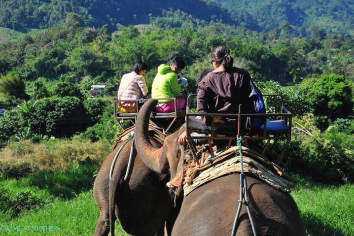 Elephant Trekking Počasie v Koh Samui v októbri