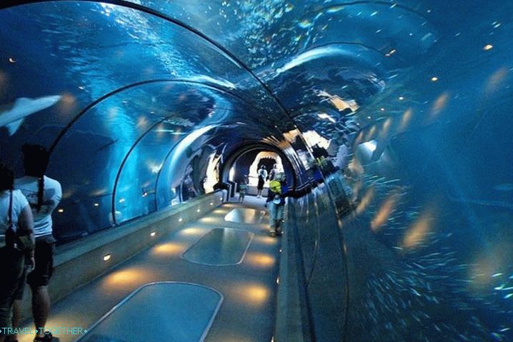 Antalya pre deti, Oceánium v ​​Antalyi