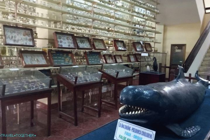 Nha Trang, oceánografické múzeum