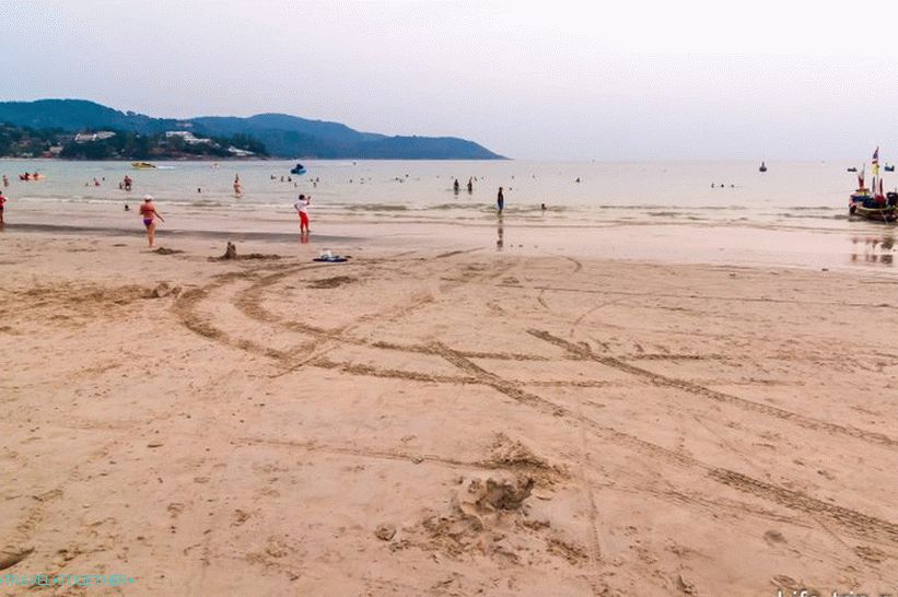 Odliv, prostredníctvom, Kata, pláž, Phuket