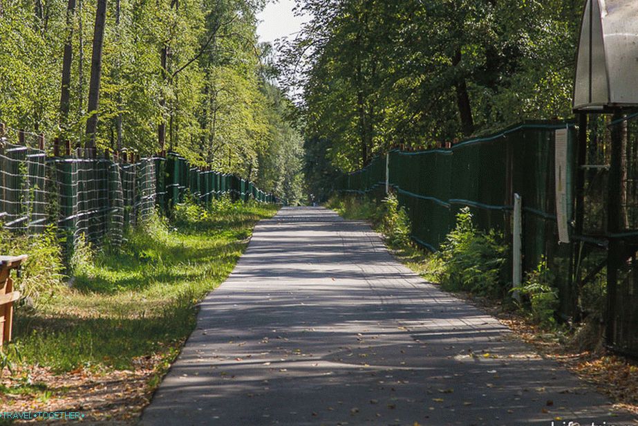 Cesta okolo ohrady vo vnútri škôlky