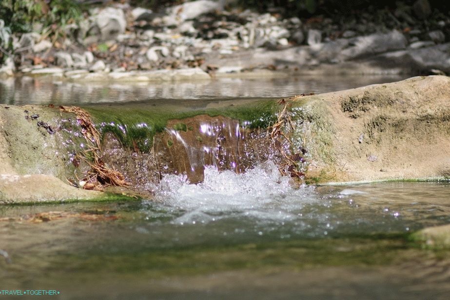 The River