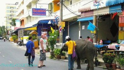 Pratumnak okres v Pattaya
