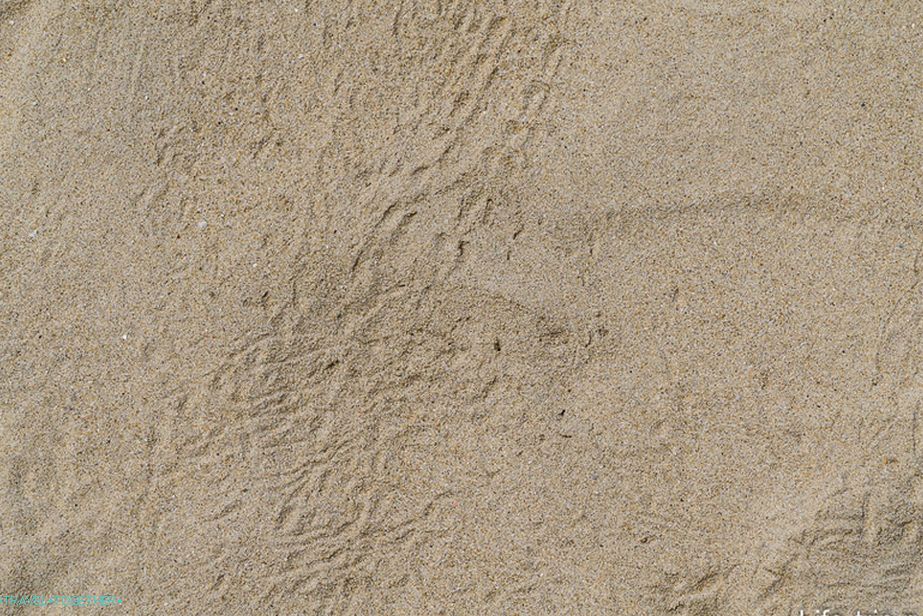 Sandy, pláž-02