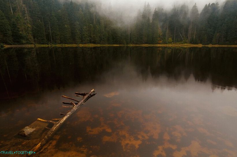 Wild Black Forest Lakes