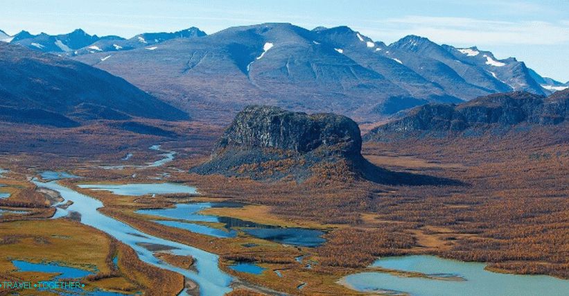 Sarek