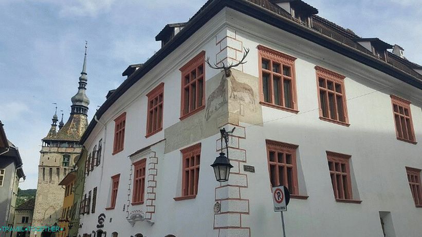 Olenijský dom