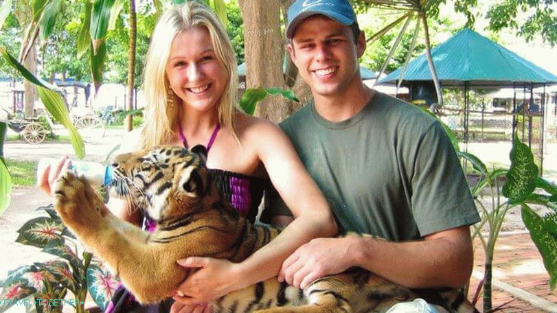 „Zoo