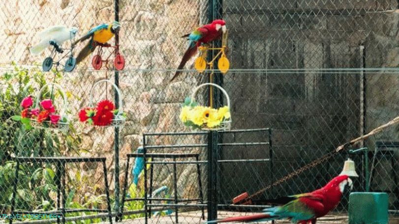 „Zoo