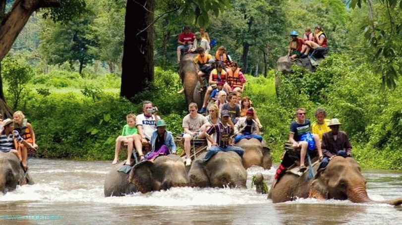 Chôdza po slonoch v Hua Hin