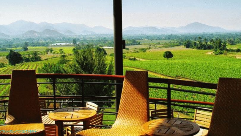 Vinice Hua Hin Hills Vineyard v Hua Hin