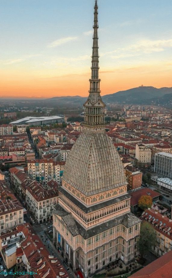 Krtek Antonelliana
