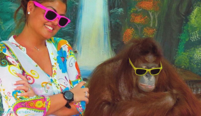 Zoo Phuket