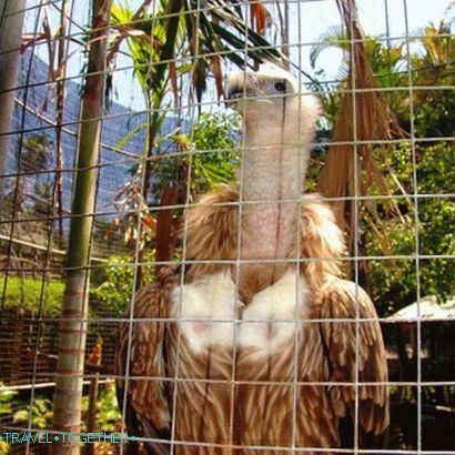 Zoo Phuket