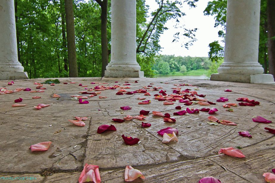 Okvetné lístky ruží v altánku po svadbe