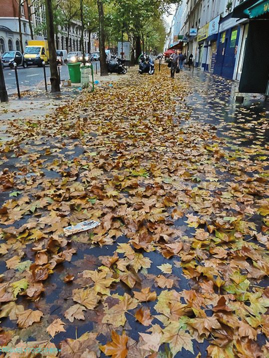 „Parížske
