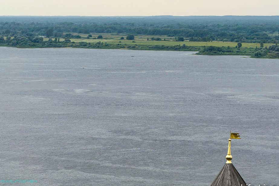 Volga a lesy