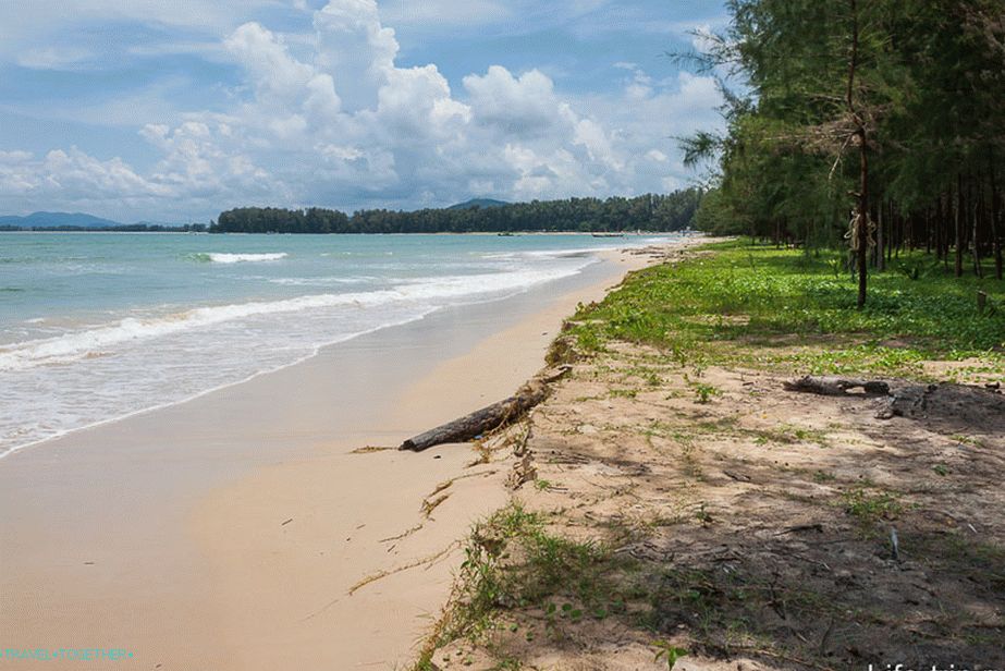Nai Yang Beach - Nai Yang Beach