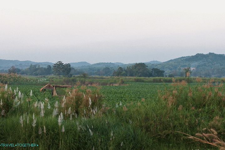 Okolo Chiang Saen