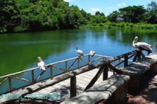 Územie zoo Khao Kheo v Pattaya