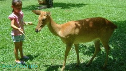 „Zoo