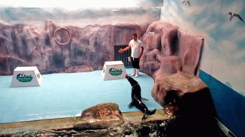 Demonštračná show v zoologickej záhrade Khao Kheo v Pattaya