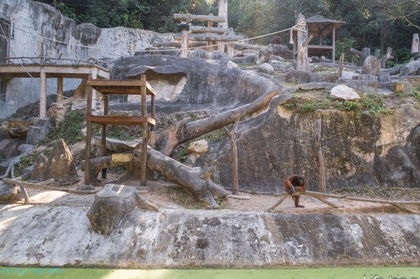 Zoo Khao Kheo v Pattaya - to najlepšie v Thajsku